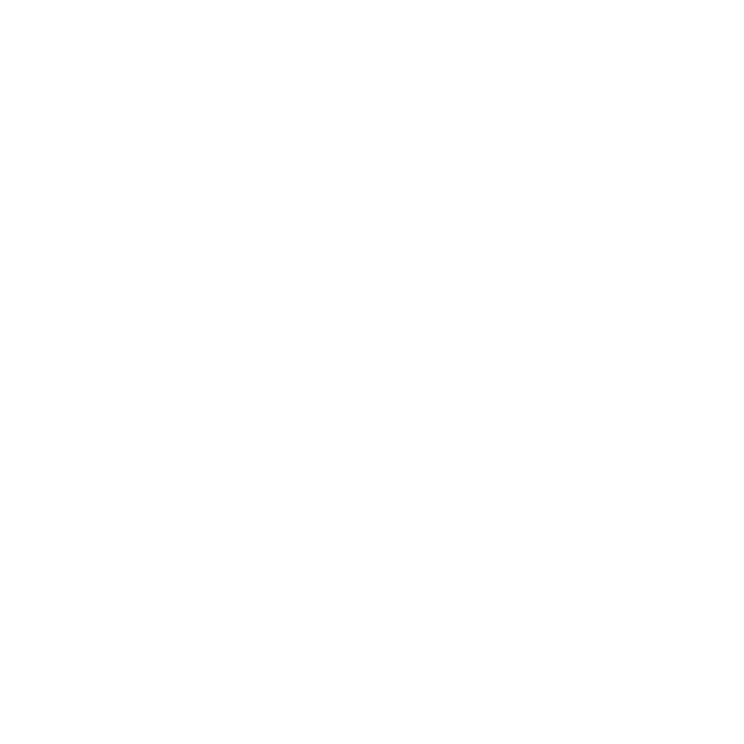 Polar Plunge logo